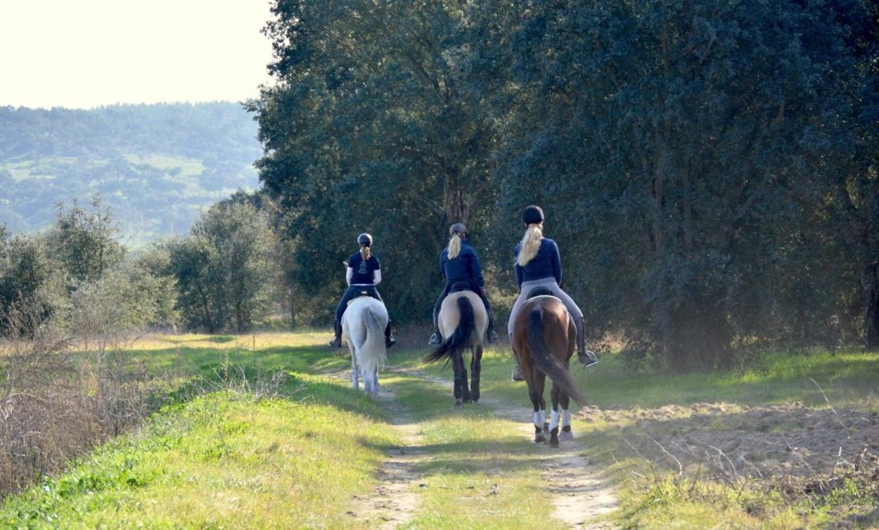 Quinta Da Varzea Raposa Kültér fotó